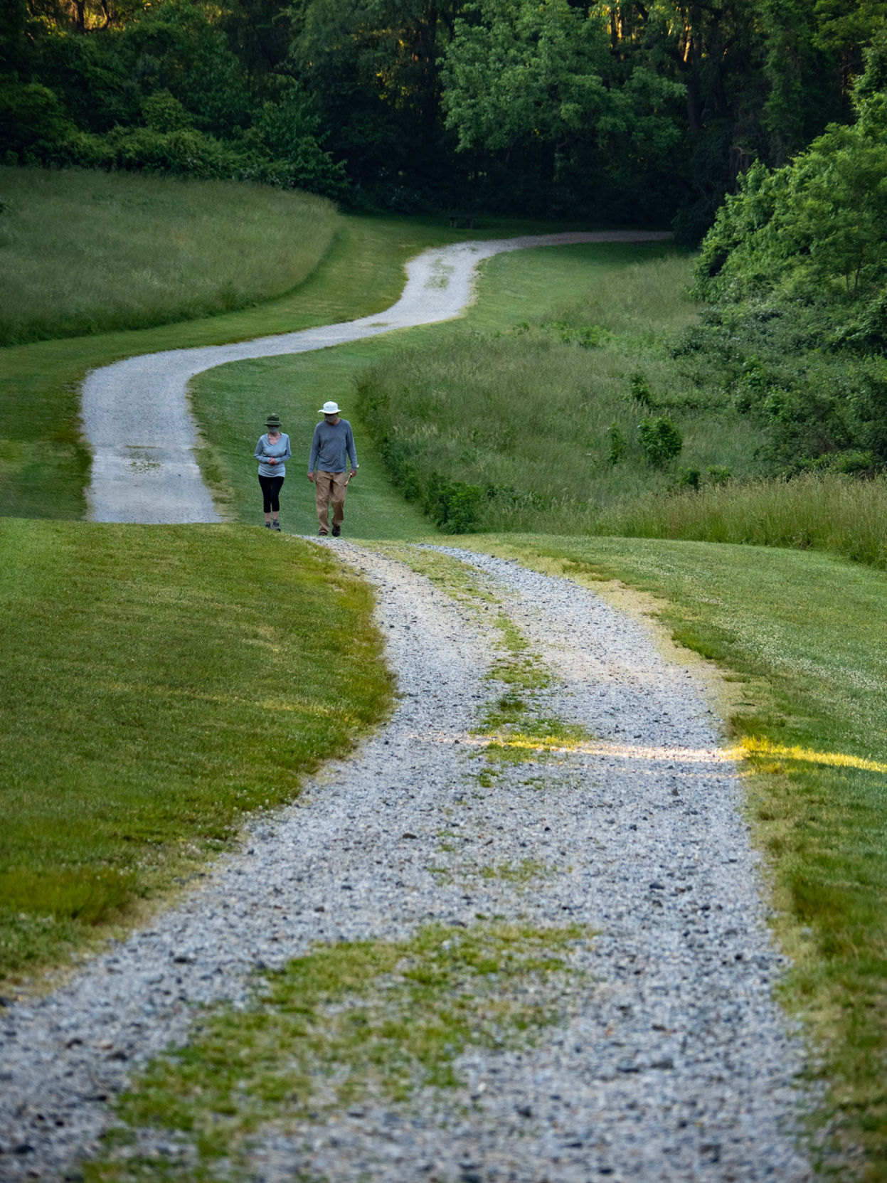 Trail at Elk Neck State Park, MD